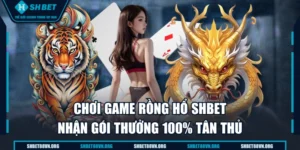 Chơi Game Rồng Hổ SHBET Nhận Gói Thưởng 100% Tân Thủ
